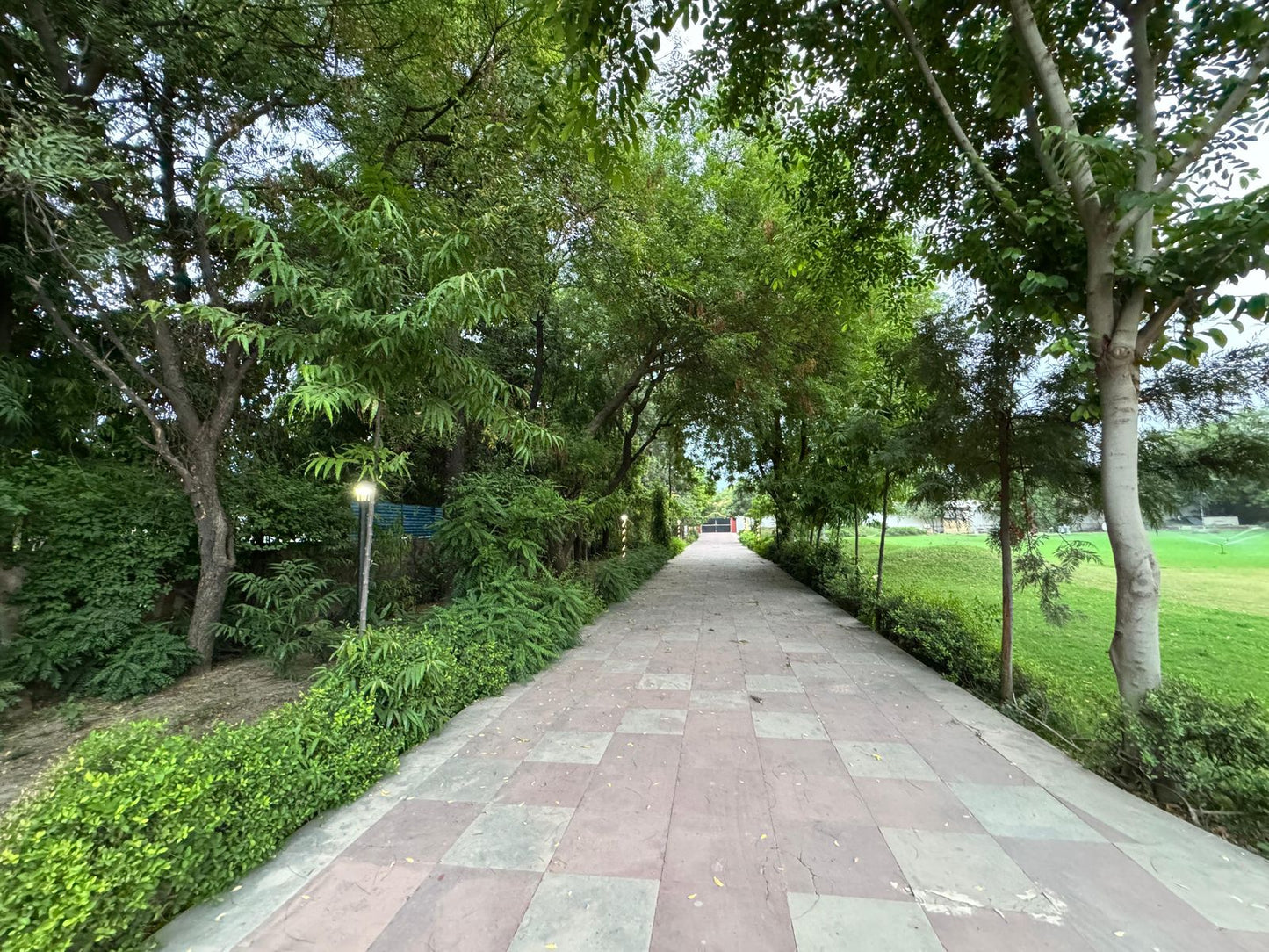 CHAUDHARY FARM HOUSE 88🏡 (Haryana)